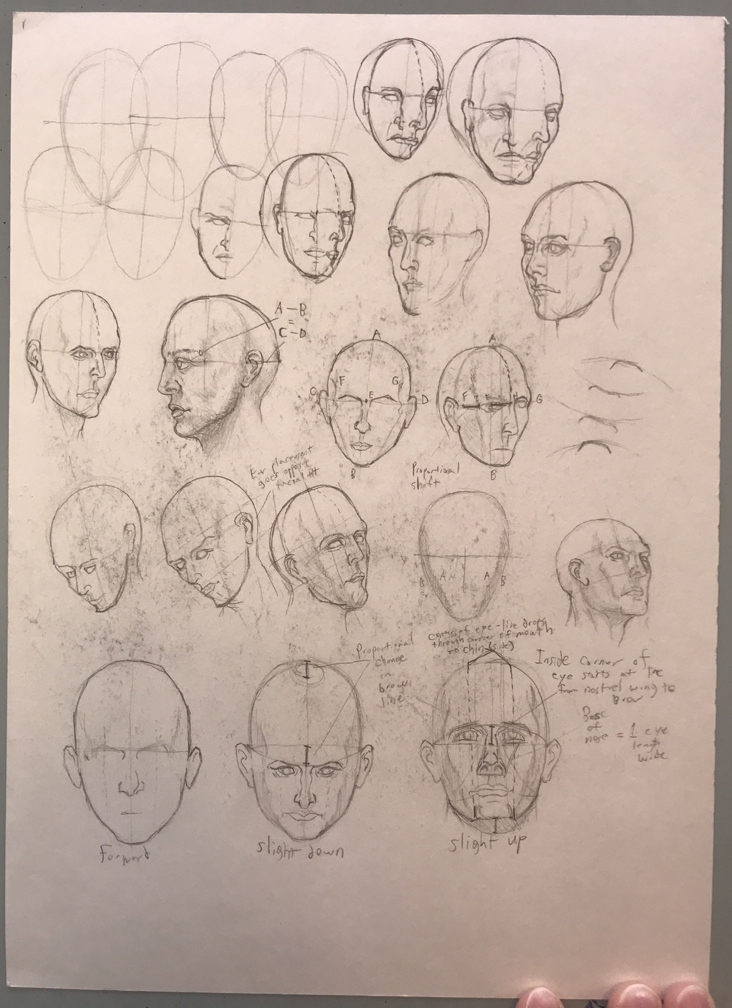 bunch of heads