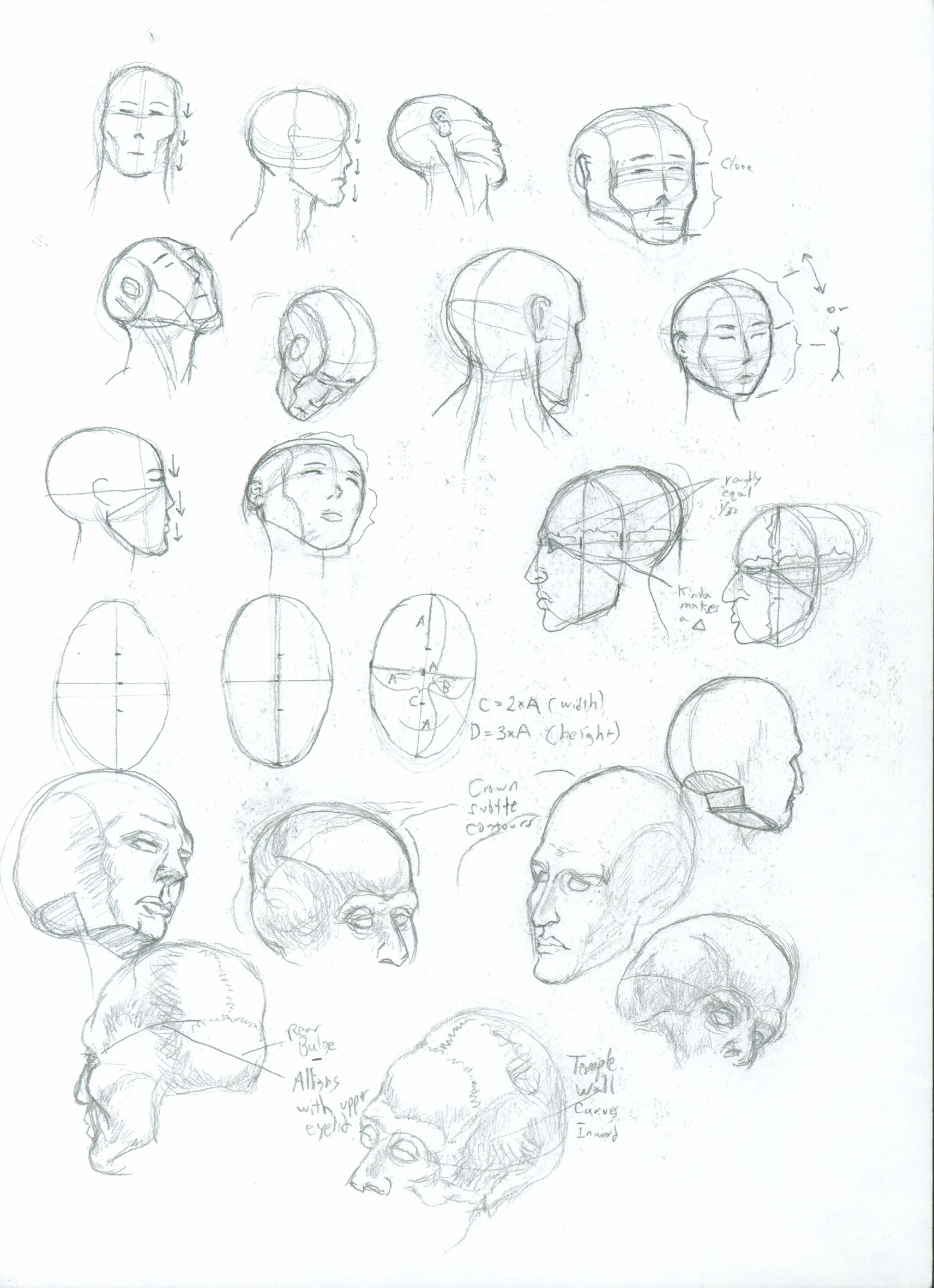 bunch of heads