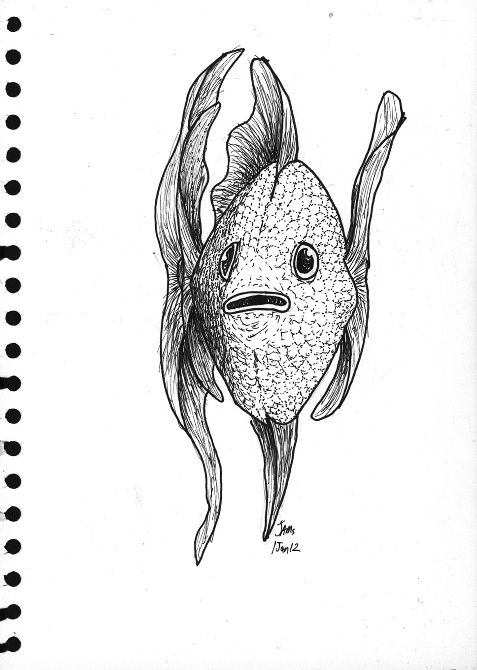 Fish sketch